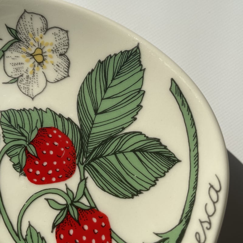 ARABIA エステリトムラ Botanica Fragaria vesca 野いちご | K