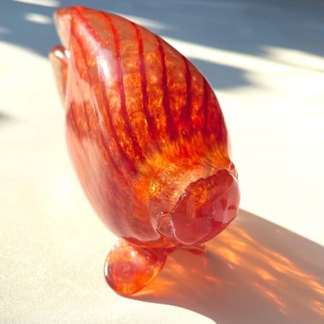 Nuutajarvi Kerttu Nurminen TROPICAL FISHES オレンジの魚