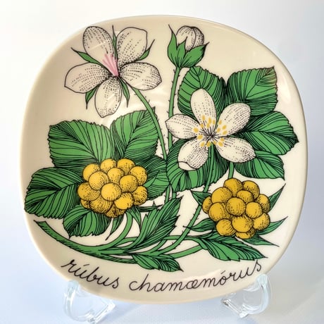 ARABIA エステリトムラ Botanica Rubus chamemorus クラウドベリー