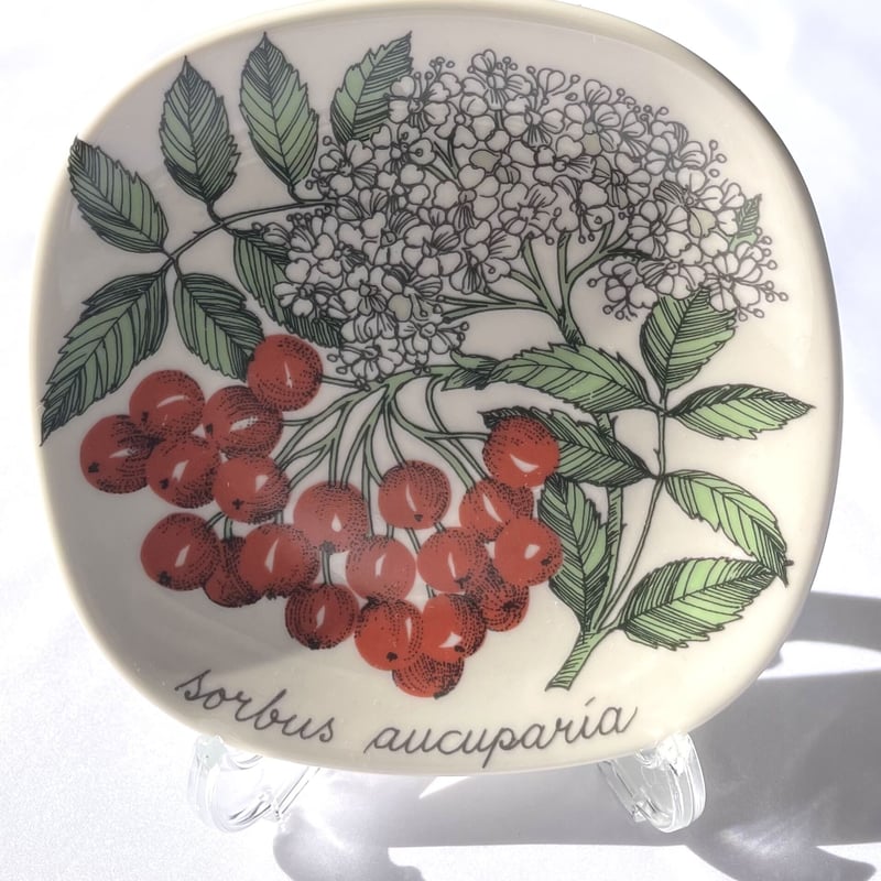 ARABIA エステリトムラ Botanica セイヨウナナカマド sorbus aucupa