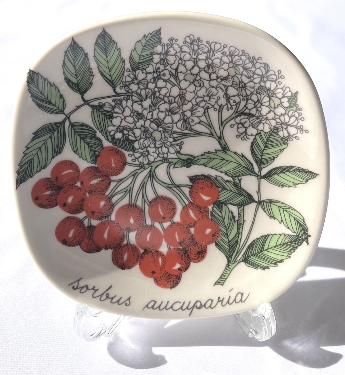 ARABIA エステリトムラ Botanica セイヨウナナカマド sorbus aucupa
