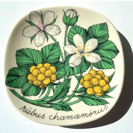 ARABIA エステリトムラ Botanica Rubus chamemorus クラウドベリー