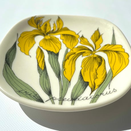 ARABIA エステリトムラ Botanica Iris pseudacorus キショウブ