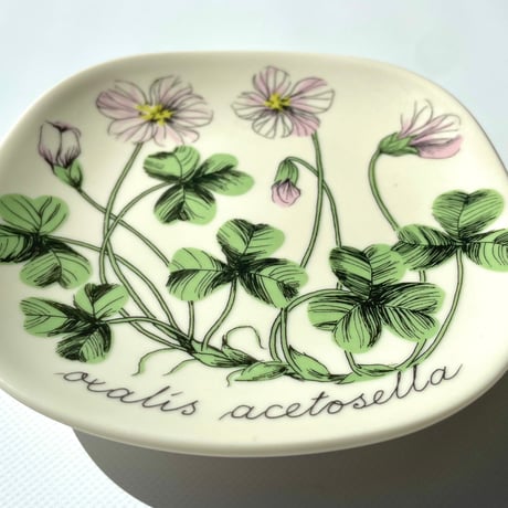 ARABIA エステリトムラ Botanica Oxalis acetosella コミヤマカタバミ