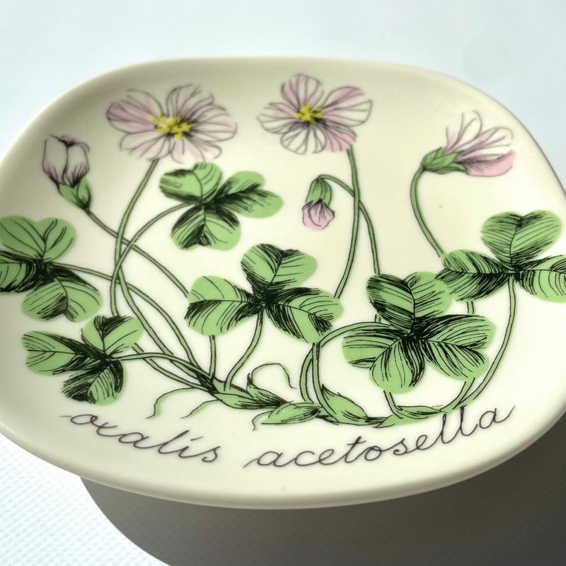 ARABIA ボタニカ　コミヤマカタバミ ARABIA エステリトムラ Botanica Oxalis acetosella コミヤマカ