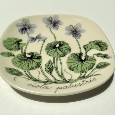 ARABIA エステリトムラ Botanica viola palustris ビオラ・パルストリス