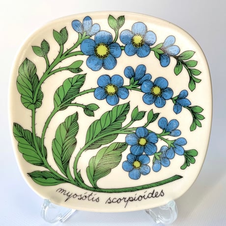 ARABIA エステリトムラ Botanica Myosotis scorpioides ワスレナグサ