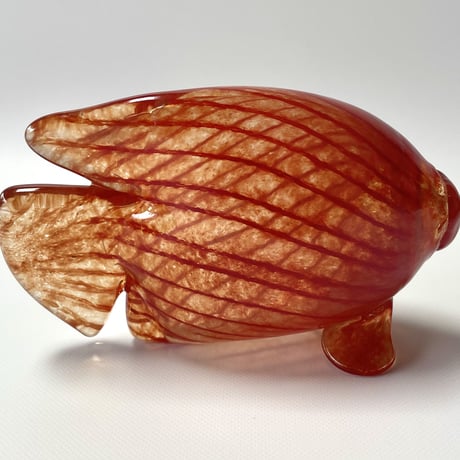 Nuutajarvi Kerttu Nurminen TROPICAL FISHES オレンジの魚