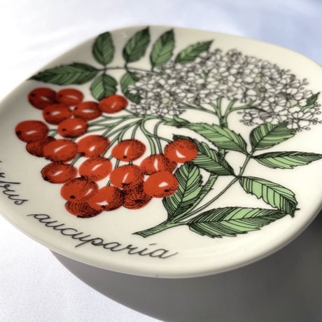 ARABIA エステリトムラ Botanica セイヨウナナカマド sorbus aucuparia