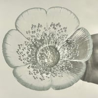 Mäntsälän Lasisepät  Pertti Kallioinen クロッカス キャンドルホルダー