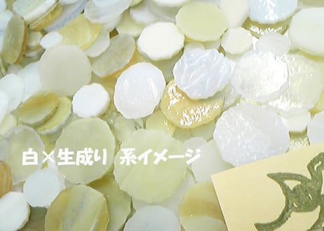 2026年分販売終了【受注・福丸ガラス＆送料無料】期間：2026年2/14(土)～2/28(土)
