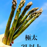 グリーンアスパラ2kg     2L以上