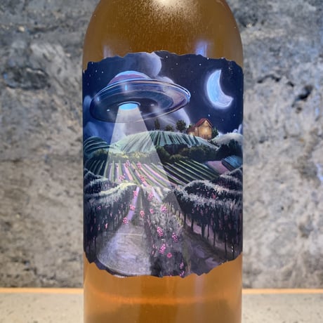 Grape Abduction Company Orange 2023／GONC（グンツ）