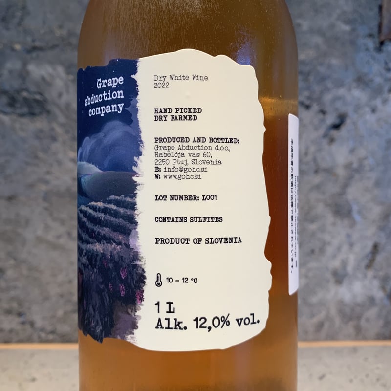 Grape Abduction Company Orange 2023／GONC（グンツ） |