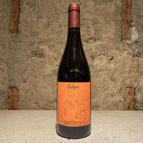 GALAPIA 2019／MOURESSIPE（ムレシップ）