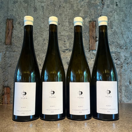 【Special Set】2023・2024 白 飲み比べ／YURA（由良 仁太郎）