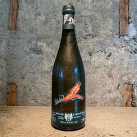 Campai 2024／Camillo Donati（カミッロ・ドナーティ）