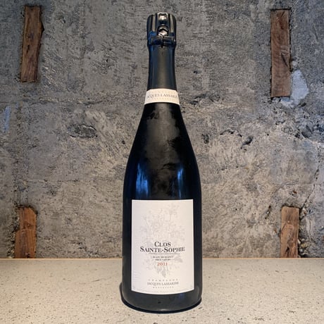 CATEGORY Jacques Lassaigne （ジャック・ラセーニュ） | TERRA