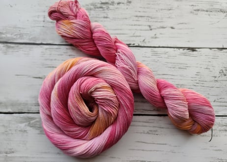 cotton・紅椿