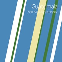 グアテマラ SHB アグア サンタハニー ハラパ オリエンテ　コーヒー豆　/　Guatemala SHB Agua Santa Honey