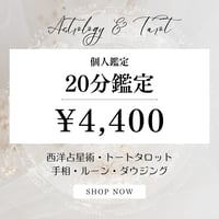 ＜20分＞　4,400円　※オンライン鑑定のみ