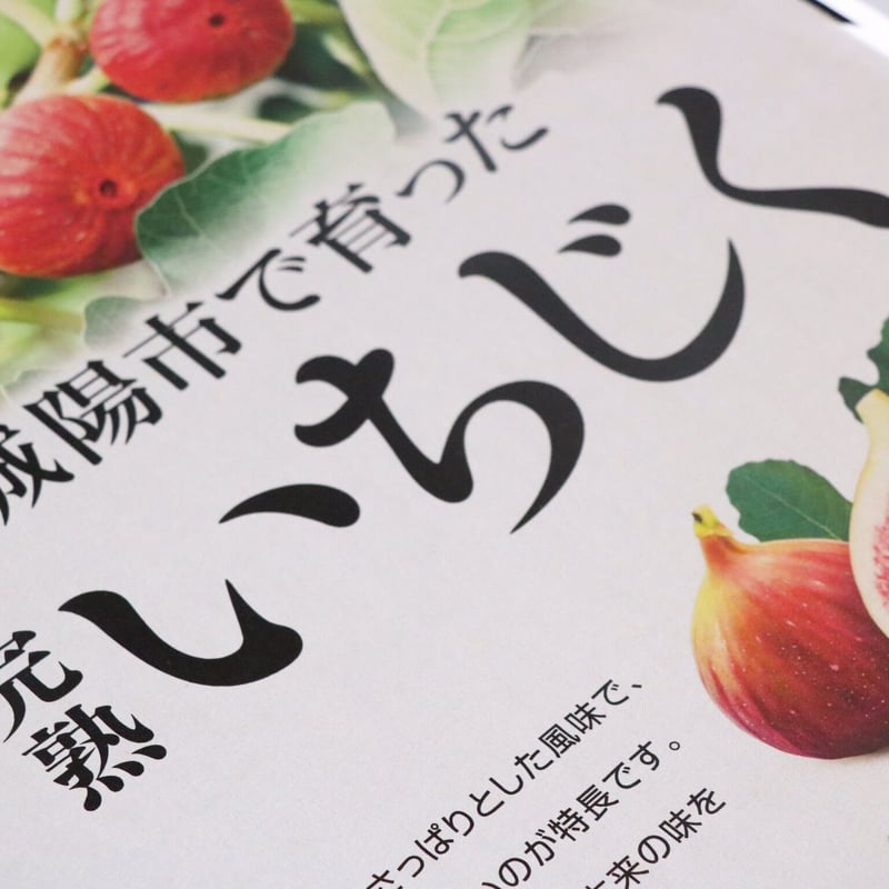 京都府城陽市特産 ハウス栽培完熟朝採りいちじく 1箱 (1箱4パック 