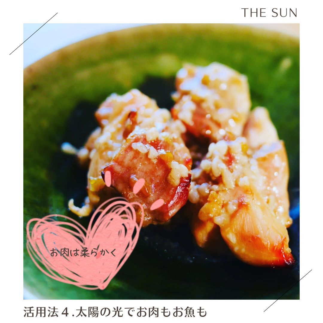 ソーラークッカー エコ作500 | THE SUN STORE ソーラークッカー エコ作500 | THE SUN STORE