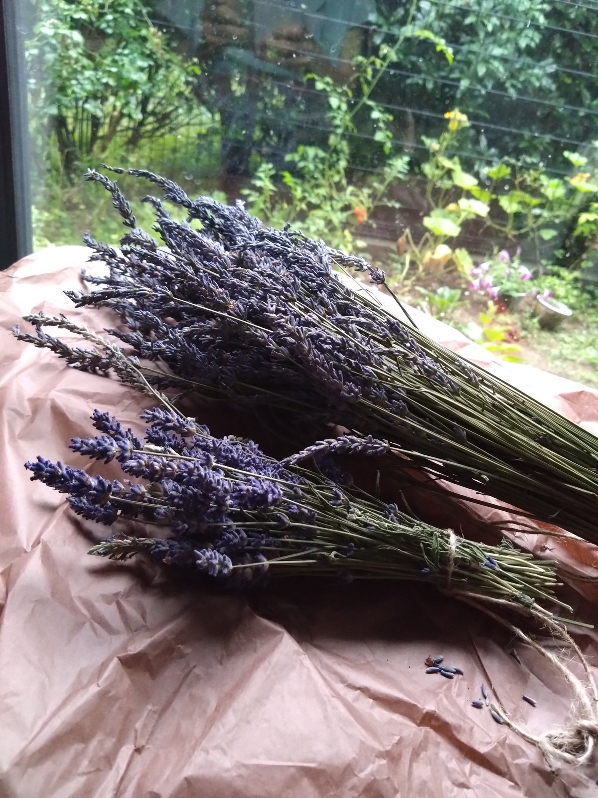 真正ラベンダー エッセンシャルオイル | aroma blessの小箱