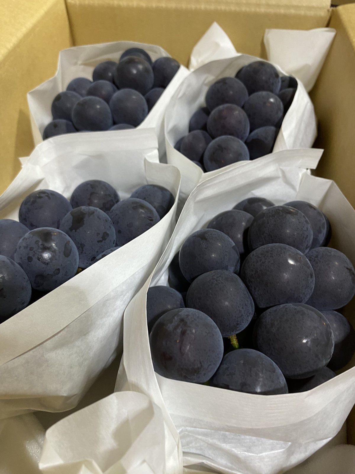 ももはるママ　藤稔2kg箱 2箱 ももはるママ様専用 藤稔2kg箱 2箱 フルーツ