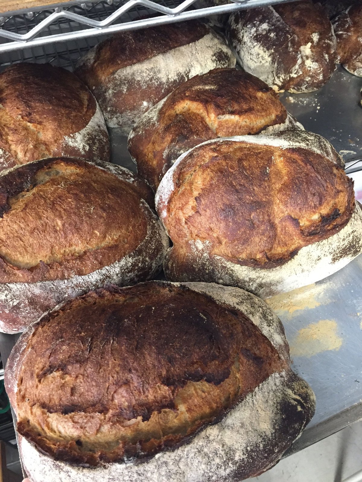 パン詰め合わせ 楽天市場】【ふるさと納税】 お試し パンセット ＜選べる個数＞ 10個