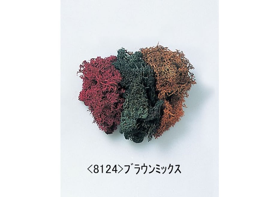 63856024ba62e008bf925c9a