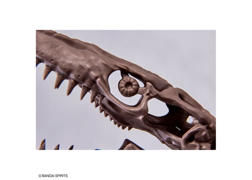【塗装済完成品】バンダイ　モササウルス　プラモデル よみがえる海生爬虫類「1/32 Imaginary Skeleton モササウルス
