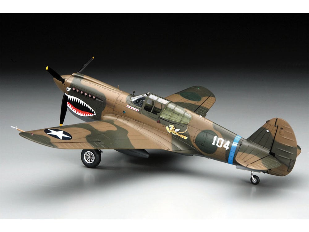 1/48 カーチスP-40E ウォーホークJT86プラモデル 完成品 original