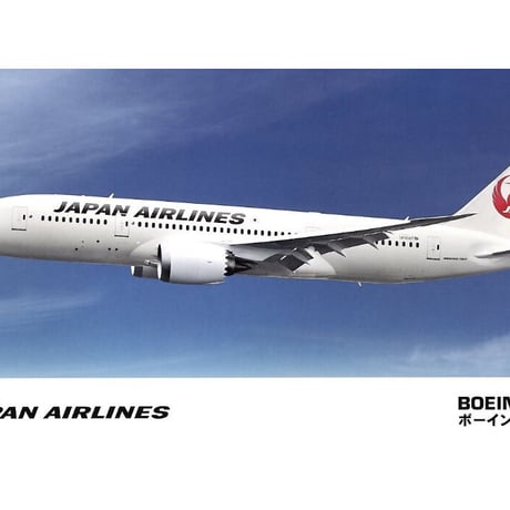 ハセガワ1／200旅客機プラモデル | STORES
