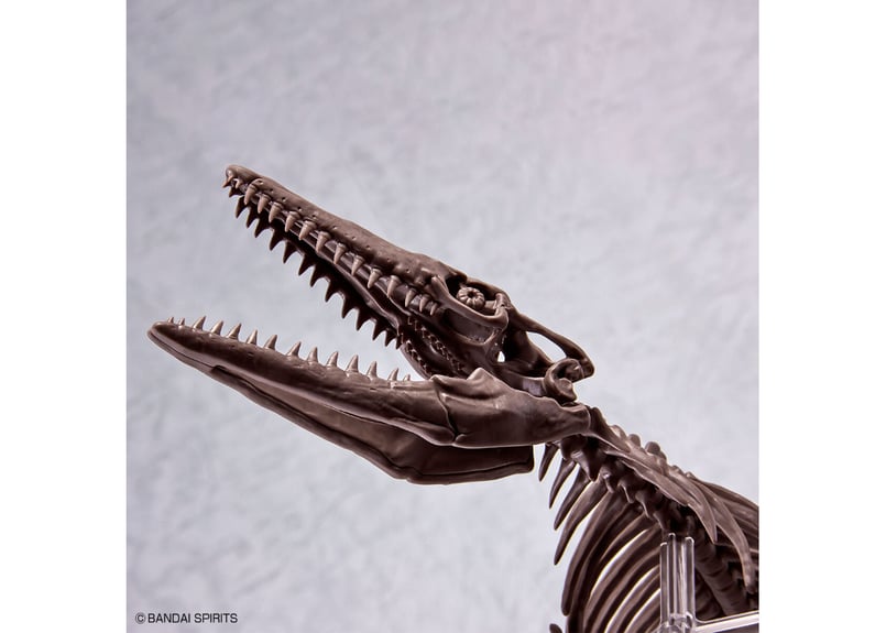 【塗装済完成品】バンダイ　モササウルス　プラモデル よみがえる海生爬虫類「1/32 Imaginary Skeleton モササウルス