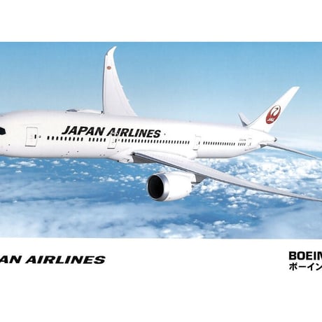 ハセガワ1/200ボーイング・エアバス旅客機10点まとめ販売 プラモデル | ハセガワ | 1/200 旅客機 | Joshin webショップ 通販