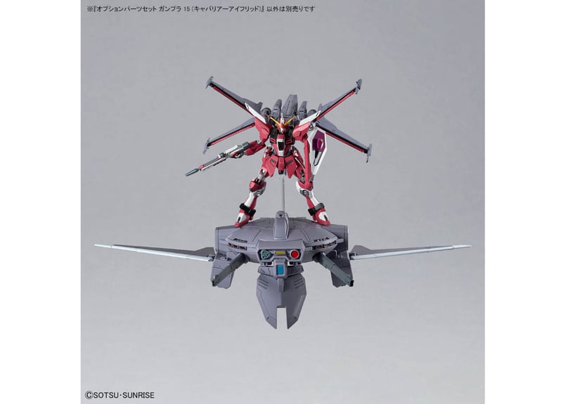 HG ズゴック (SEED) オプション15 EGストライクルージュ 3体セット HG ズゴック (SEED) オプション15 EGストライクルージュ 3体