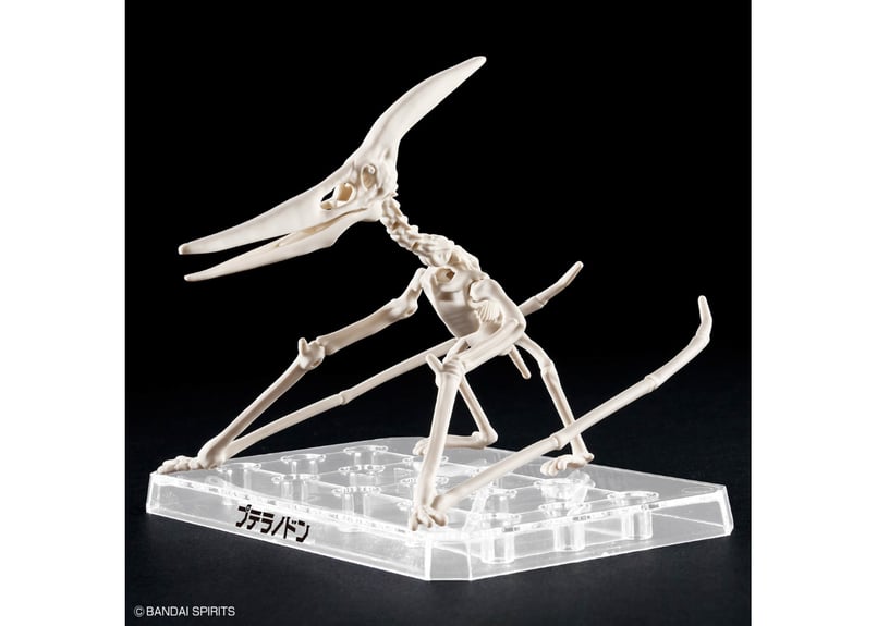 プテラノドン バンダイ プラノサウルス07 プテラノドン | ウエサカ模型店