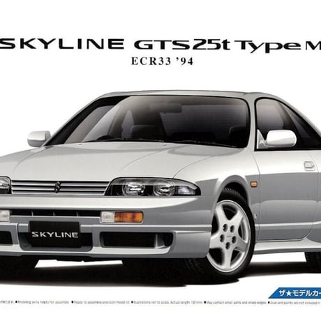 アオシマ 1/24 ザ･モデルカー No.94（旧） ニッサン ECR33 スカイラインGTS25t タイプM '94【絶版】
