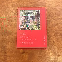44歳、目的のないイスタンブール一人旅の日記 / 花田菜々子