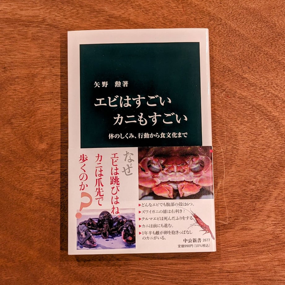 6527c90566372a035f57d8d3