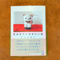 死ぬまでに行きたい海 / 岸本佐知子