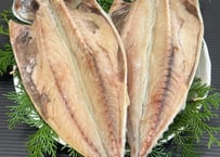 特大　とろあじ干物