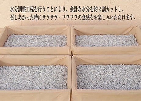 しらす大漁セット