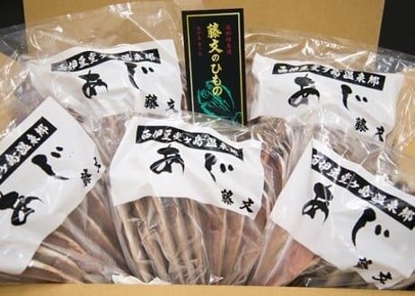 真あじ大満足セット