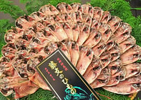 真あじ大満足セット