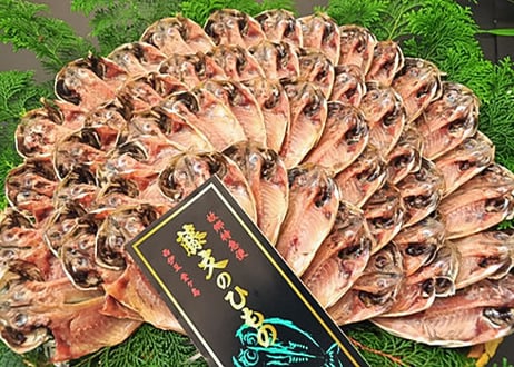 真あじ大満足セット