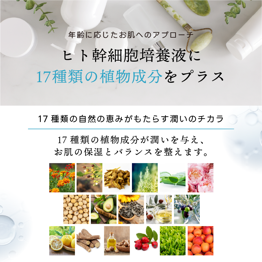 ヒト幹細胞培養液配合】STAY FREE HITO-KAN オールインワンゲル | clov