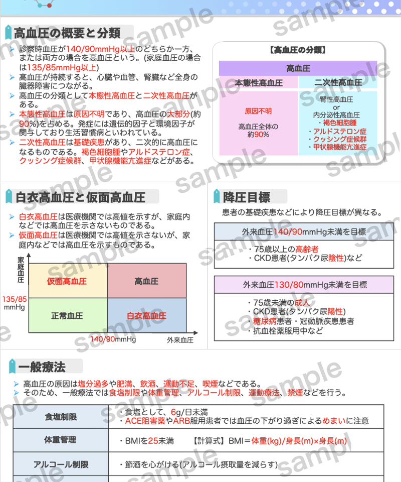 9】循環器系② | Micelle (ミセル)