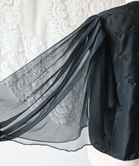 【Seek an nur】Italy Black Sheer Blouse